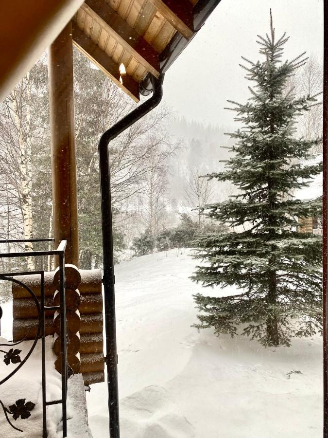 Chalet Four Seasons Villa Tatariv Exterior foto